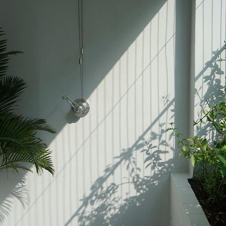 Maiam Homestay TP. Hồ Chí Minh Ngoại thất bức ảnh